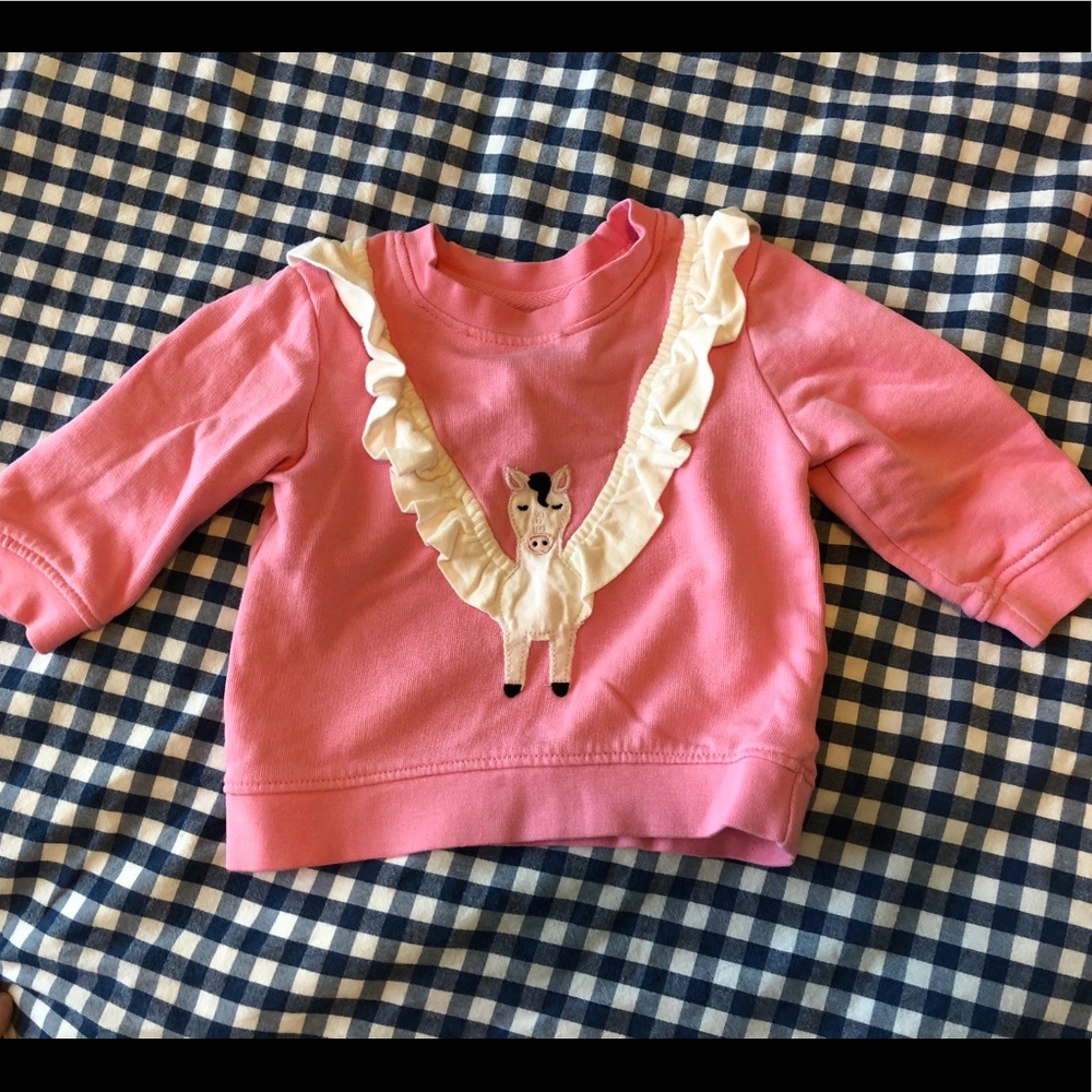 Hanna Andersson Phoenix Sweater - SO CUTE! 🦄